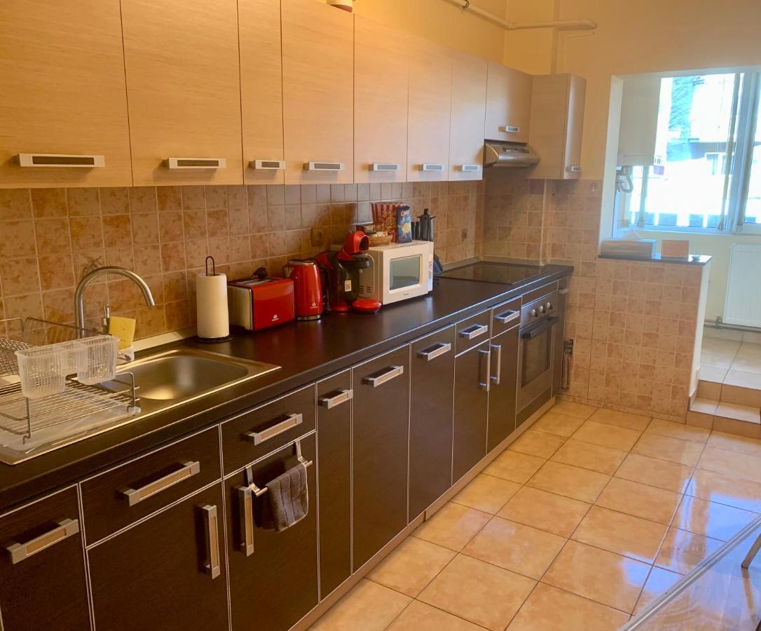 Jad - Family - Apartments - Zorilor Braszów Zewnętrze zdjęcie