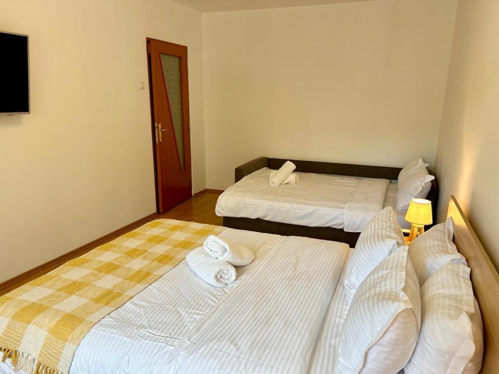 Jad - Family - Apartments - Zorilor Braszów Zewnętrze zdjęcie