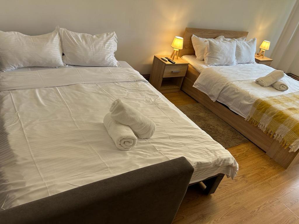 Jad - Family - Apartments - Zorilor Braszów Zewnętrze zdjęcie