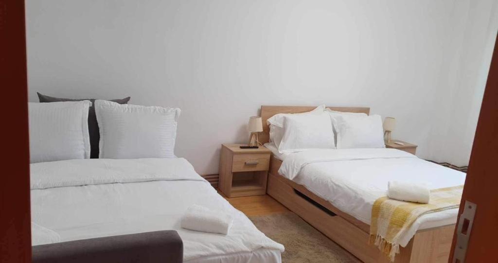 Jad - Family - Apartments - Zorilor Braszów Zewnętrze zdjęcie
